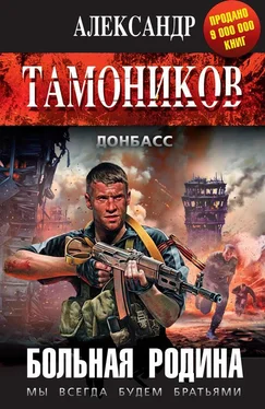 Александр Тамоников Больная родина обложка книги