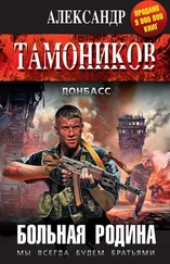 Александр Тамоников - Больная родина