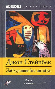 Джон Стейнбек Заблудившийся автобус обложка книги