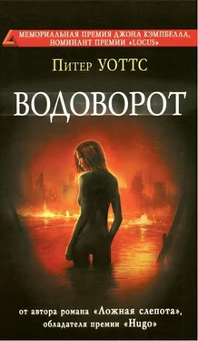 Питер Уоттс Водоворот обложка книги