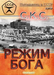 Игорь. Скс Режим бога. 3-я книга