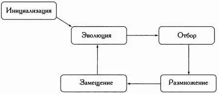 Различия между эволюционными алгоритмами определяются тем как именно - фото 13
