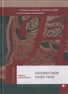 Рафаил Нудельман Неизвестное наше тело. О полезных паразитах, оригами из ДНК и суете вокруг гомеопатии... обложка книги