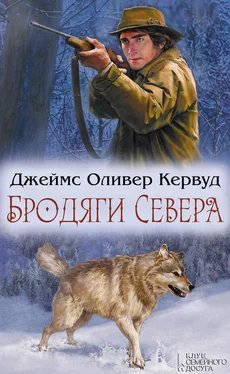 Джеймс Кервуд Бродяги Севера (сборник) обложка книги