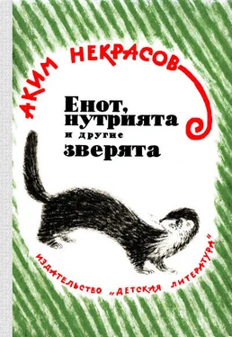 Аким Некрасов Енот, нутрията и другие зверята обложка книги