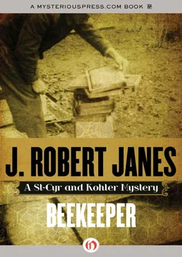 J. Janes Beekeeper обложка книги