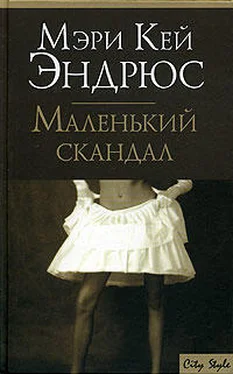 Мэри Эндрюс Маленький скандал обложка книги