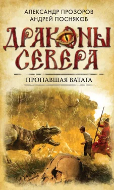 Андрей Посняков Пропавшая ватага обложка книги