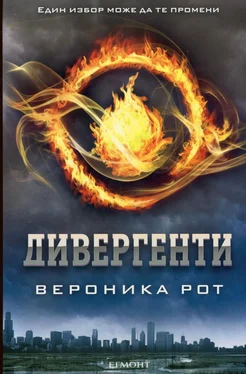 Вероника Рот Дивергенти обложка книги