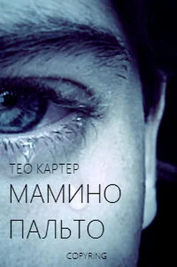 Тео Картер Мамино пальто обложка книги