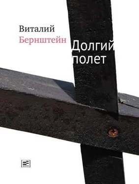 Виталий Бернштейн Долгий полет (сборник) обложка книги