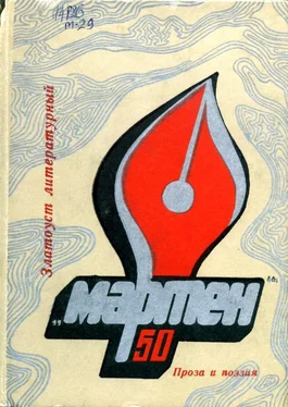 Владимир Черноземцев «Мартен» обложка книги