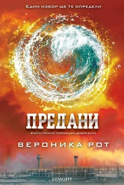 Вероника Рот Предани обложка книги