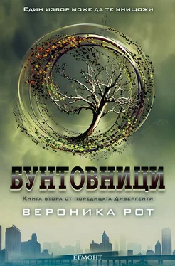 Вероника Рот Бунтовници обложка книги