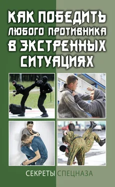 Сергей Кашин Как победить любого противника в экстренных ситуациях. Секреты спецназа