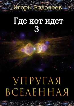 Игорь Водолеев Где кот идет 3. Упругая вселенная обложка книги