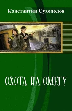 Константин Суходолов Охота на Омегу (СИ) обложка книги