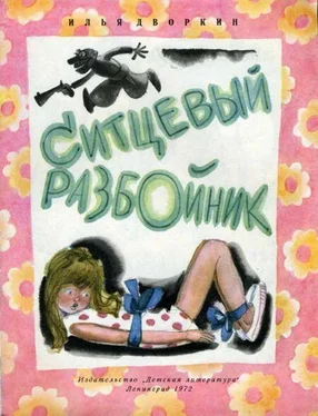 Илья Дворкин Ситцевый разбойник обложка книги