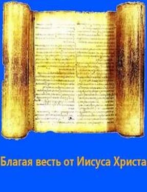 Фиалка Благая весть от Иисуса Христа обложка книги