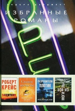 Роберт Рэдклиф Разрушители плотин (в сокращении) обложка книги