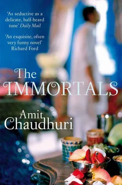 Amit Chaudhuri The Immortals обложка книги