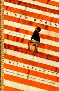 Amit Chaudhuri A New World обложка книги