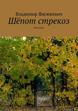 Владимир Янсюкевич Шёпот стрекоз (сборник) обложка книги