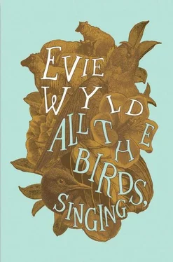 Evie Wyld All the Birds, Singing обложка книги