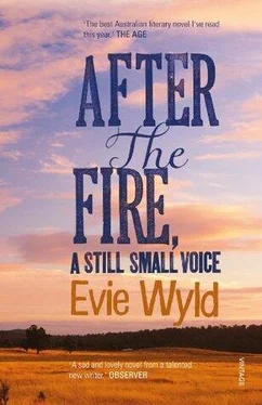 Evie Wyld After the Fire, A Still Small Voice обложка книги