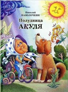 Николай Наволочкин Полудница Акуля обложка книги