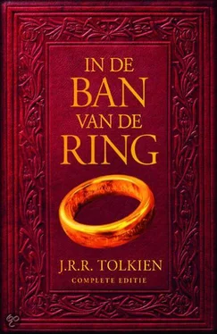 J. Tolkien In de ban van de Ring обложка книги