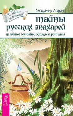 Владимир Ларин Тайны русских знахарей. Целебные составы, обряды и ритуалы обложка книги