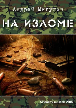 Андрей Мигулин На изломе обложка книги