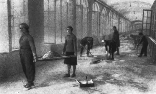 Уборка университетского коридора весной 1942 года Госпитальный огород в - фото 64
