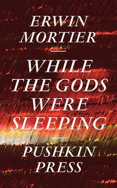 Erwin Mortier While the Gods Were Sleeping обложка книги