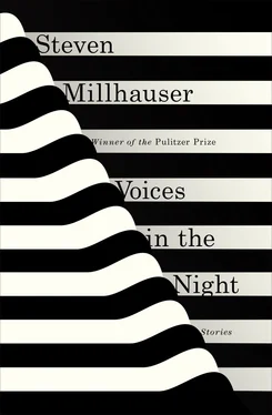 Steven Millhauser Voices in the Night: Stories обложка книги