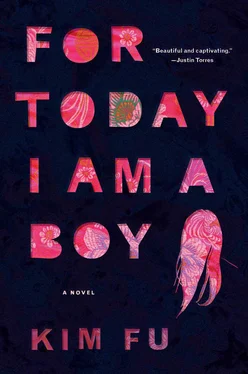 Kim Fu For Today I Am a Boy обложка книги