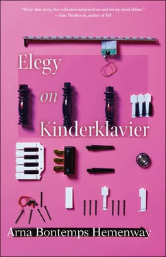 Arna Hemenway Elegy on Kinderklavier обложка книги