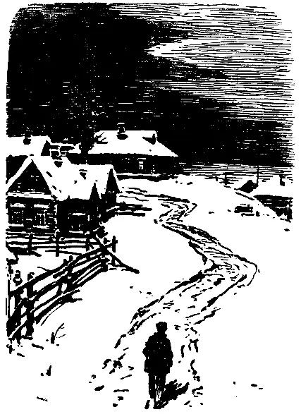 Новосергеевка спала но еще издали было видно что окна школы слабо светятся - фото 64