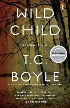 T. Boyle Wild Child and Other Stories обложка книги