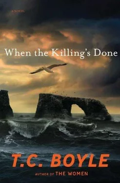 T. Boyle When the Killing's Done обложка книги