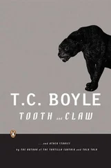 T. Boyle - Tooth and Claw