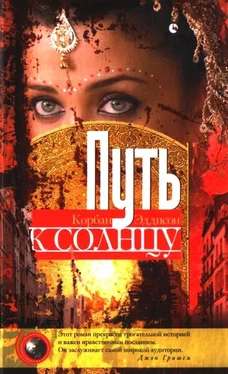 Корбан Эддисон Пусть к солнцу обложка книги