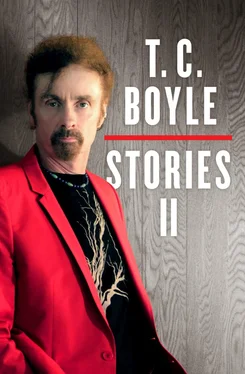 T. Boyle T.C. Boyle Stories II: Volume II обложка книги