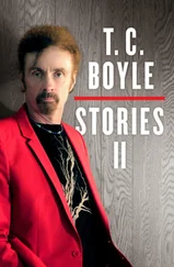 T. Boyle - T.C. Boyle Stories II - Volume II