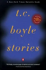T. Boyle - T. C. Boyle Stories