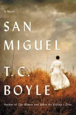 T. Boyle San Miguel обложка книги