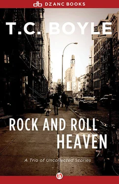 T. Boyle Rock and Roll Heaven: A Trio of Uncollected Stories обложка книги