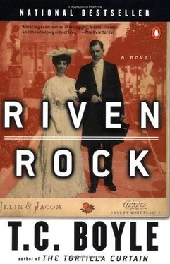 T. Boyle Riven Rock обложка книги