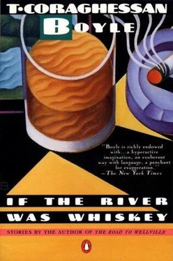 T. Boyle If the River Was Whiskey обложка книги